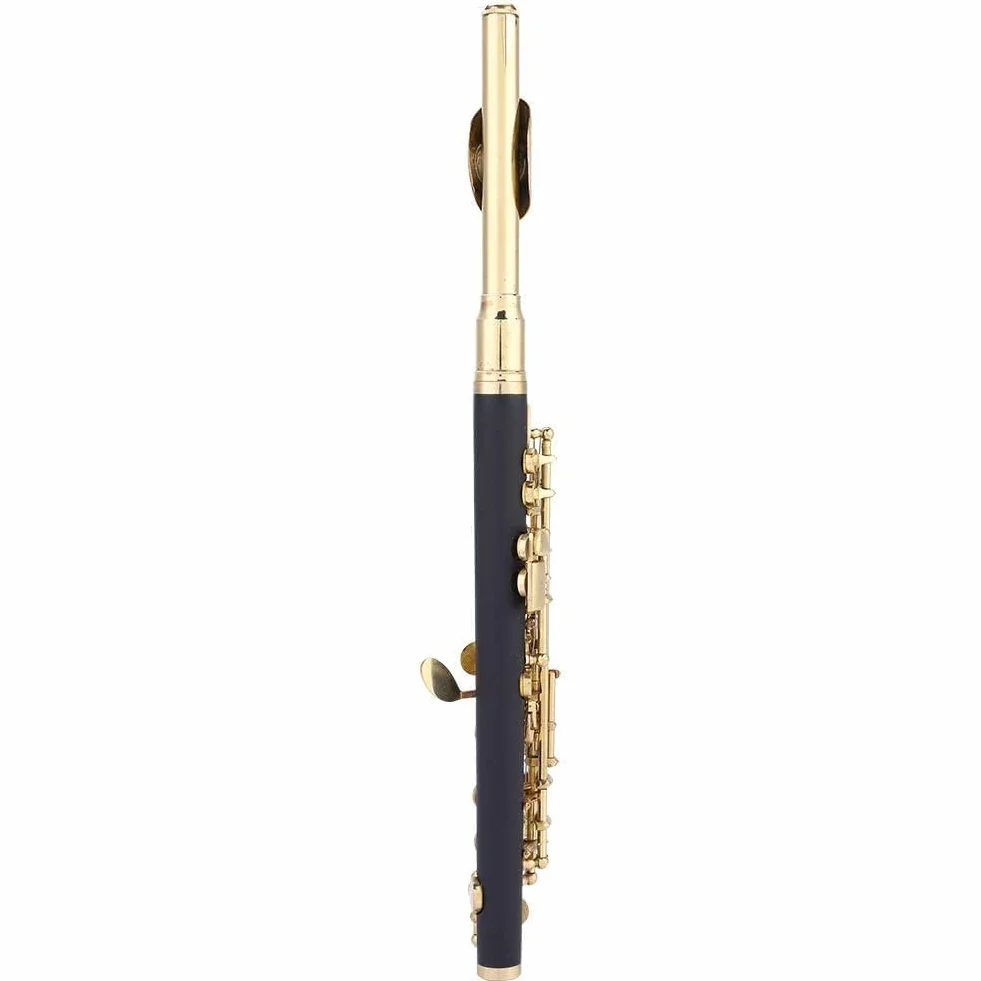 Kit D'instruments Piccolo, 2 Couleurs Piccolo Demi-taille Flûte C tonalité avec Boîte Rembourrée pour étudiants Débutants (Or)