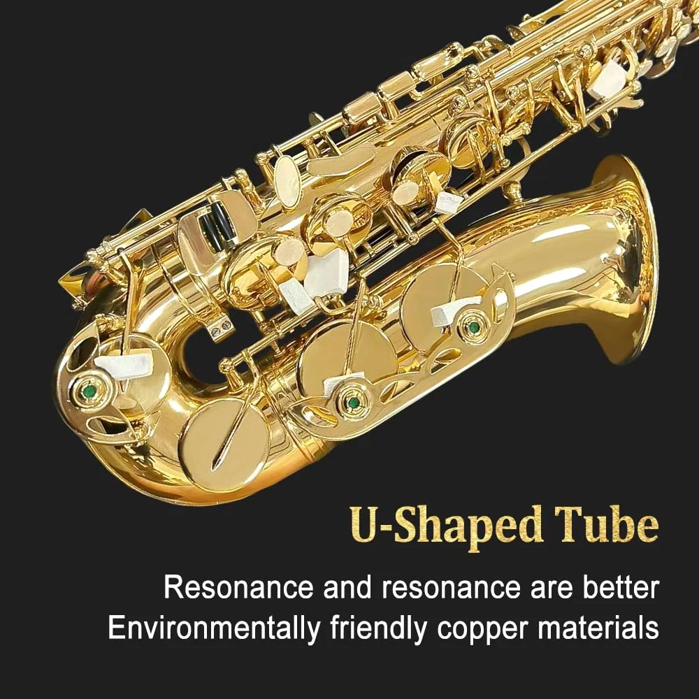 Saxophone alto débutant pour adultes et étudiants, saxophone Eb professionnel en laiton, étui, embouchure, anches, gants, chiffon de nettoyage et brosse (doré)