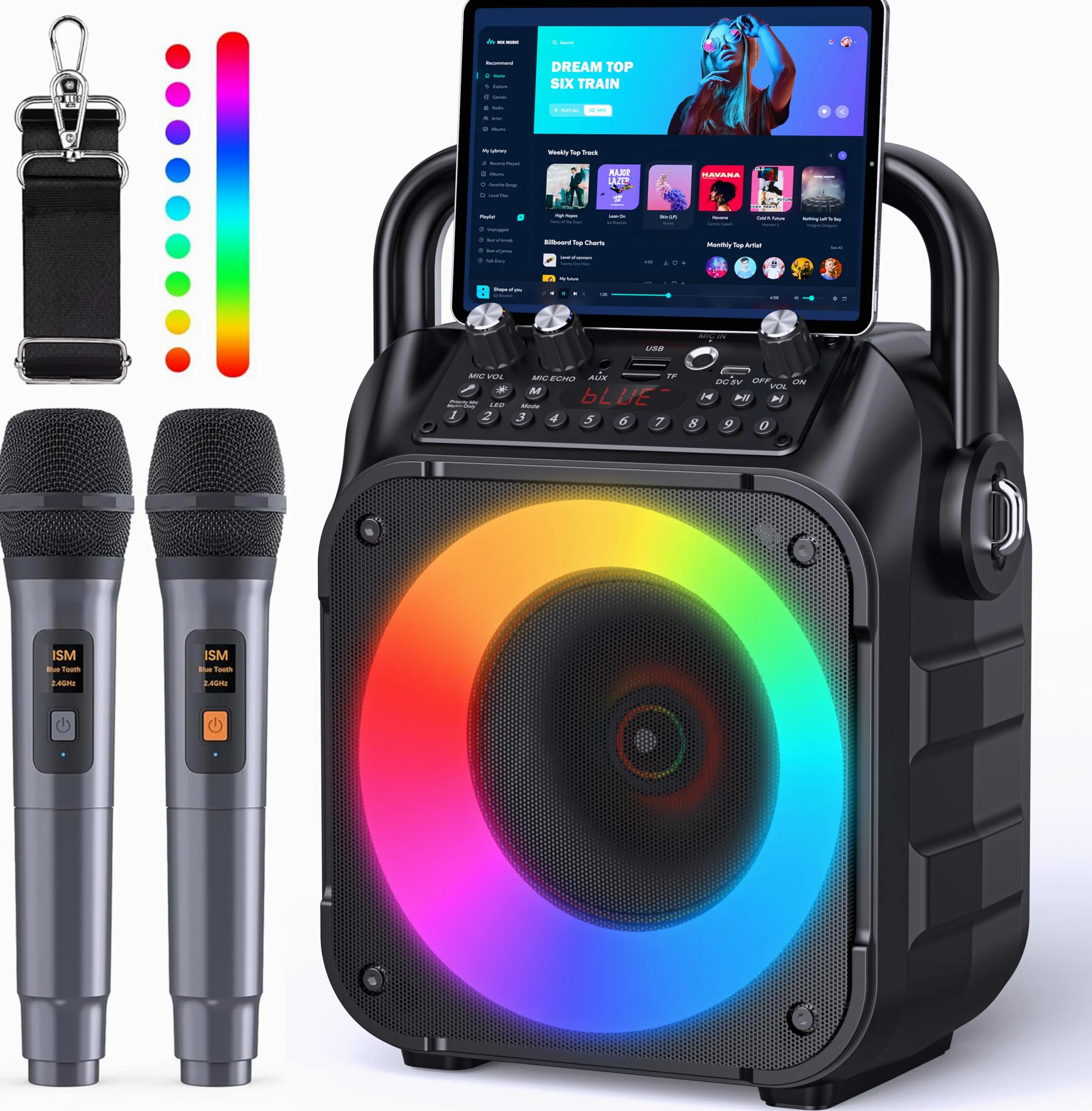 Karaoke Adulte, Haut-Parleur Bluetooth Portable Karaoke pour Adultes avec 2 Microphones sans Fil, Système PA pour Adultes et Enfants avec Lumières LED pour Les Fêtes (Noir)