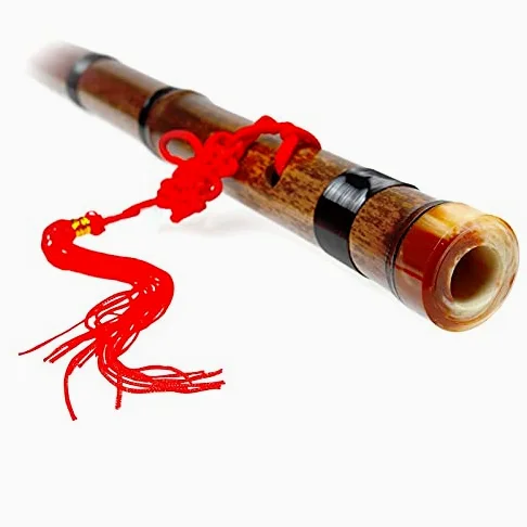 G Key chinois bambou flûte Xiao bois Instrument de musique traditionnel vertical Instrumentos professionnels faits à la main