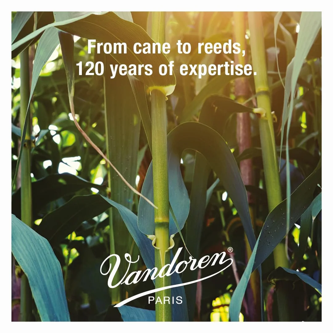 Vandoren, Anche Saxophone Alto V21, 2 1/2