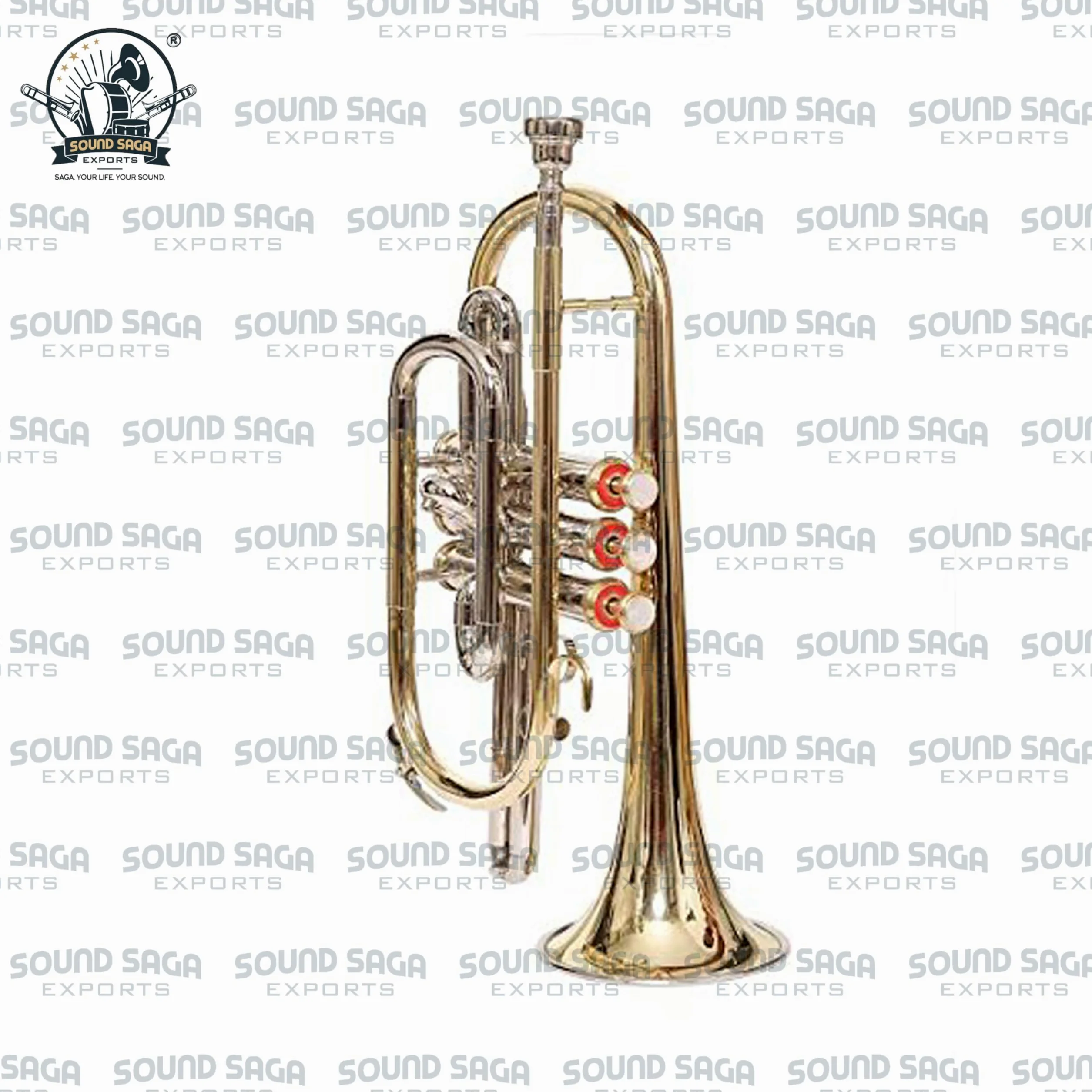 Cornet BB Pitch 3 pistons de qualité supérieure avec embouchure et étui de transport (Nickel)