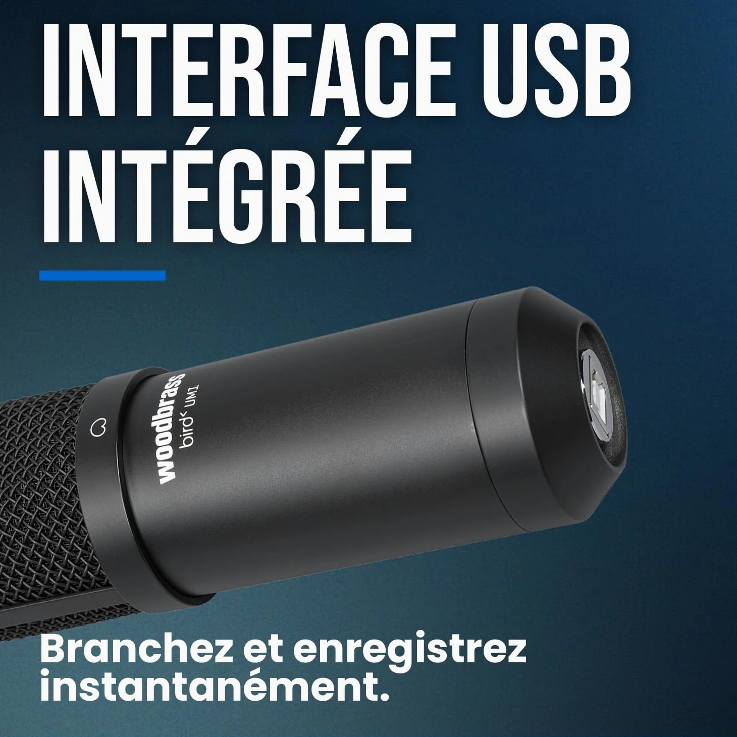 Bird Woodbrass UM1 Noir - Microphone USB Cardioïde à Condensateur PC et Mac pour Broadcast et Enregistrement Streaming, Podcasting, Conférence, Home Studio Mao, Voix Off