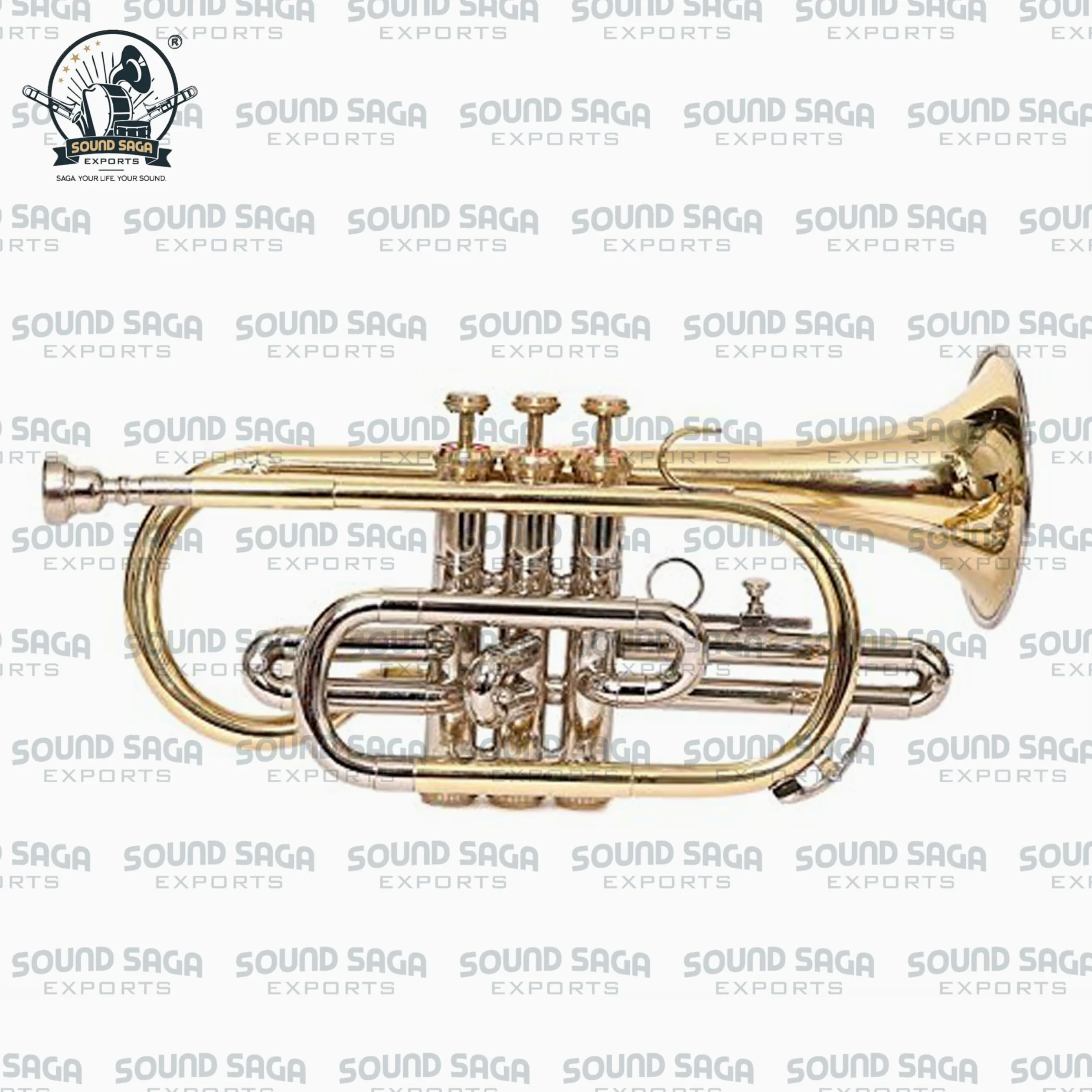 Cornet BB Pitch 3 pistons de qualité supérieure avec embouchure et étui de transport (Nickel)