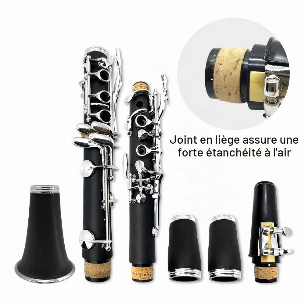 Yinfente Clarinette en Si Bémol pour Débutants et Étudiants, Noir, Ébonite, avec Étui de Clarinette, Kit de Nettoyage, Pie-Bouche, Graisse de Liège, 17 Touches, Standard