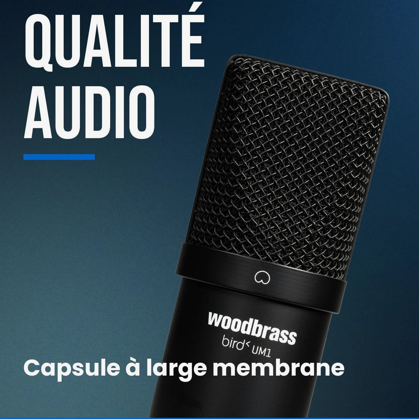 Bird Woodbrass UM1 Noir - Microphone USB Cardioïde à Condensateur PC et Mac pour Broadcast et Enregistrement Streaming, Podcasting, Conférence, Home Studio Mao, Voix Off