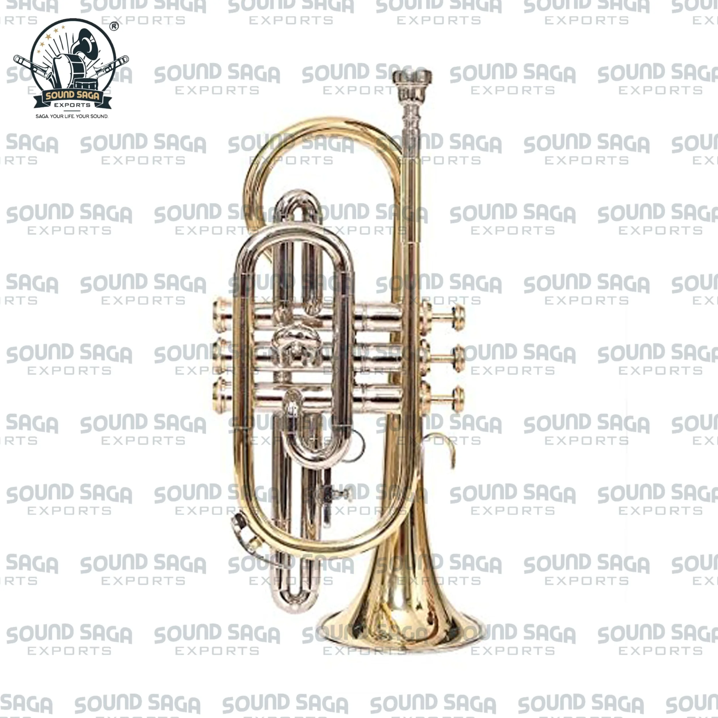 Cornet BB Pitch 3 pistons de qualité supérieure avec embouchure et étui de transport (Nickel)