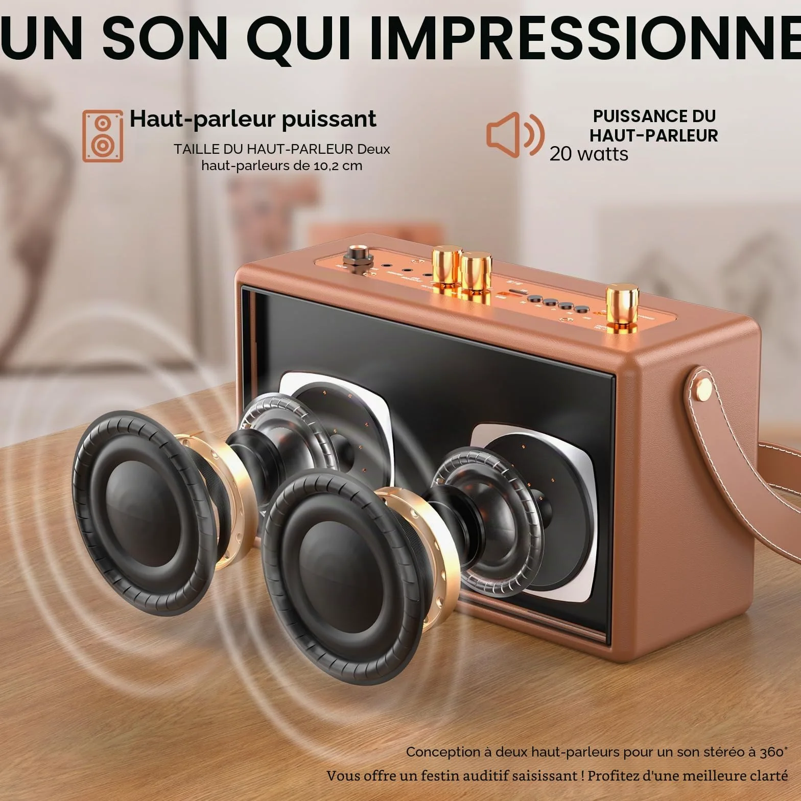 Machine de Karaoké avec 2 Microphones sans Fil pour Adultes Enfants,Karaoke Adulte Prise en Charge de l'extension Microphone à Quatre canaux,pour Les fêtes à la Maison, Les Cadeaux Vintage