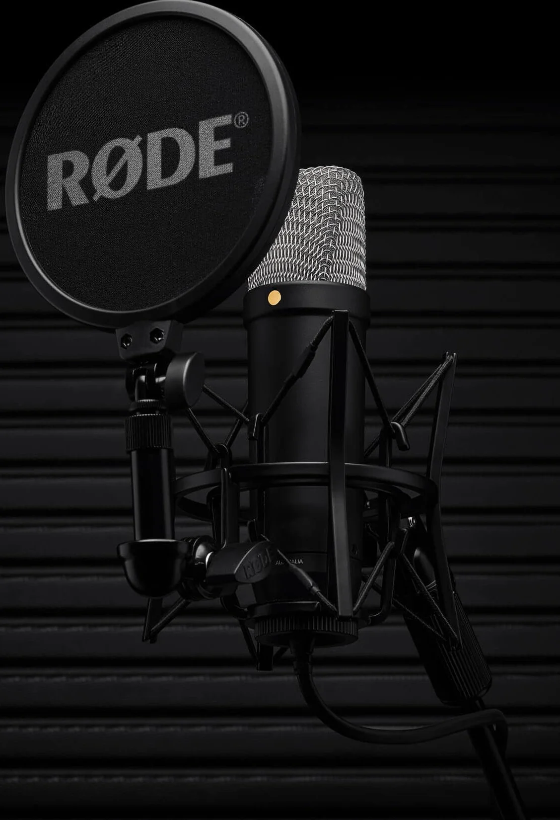 RØDE NT1 5ème Génération Microphone à condensateur de Studio à Grand diaphragme avec Sorties XLR et USB, Support Antichoc et Filtre Anti-Pop pour la, l'enregistrement Vocal et Le podcasting (Noir)
