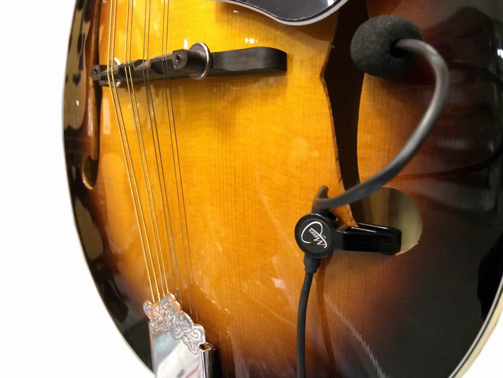 La Plume Mic pour F-style Mandoline avec Flexible Micro Cou D'oie par Myers Pickups