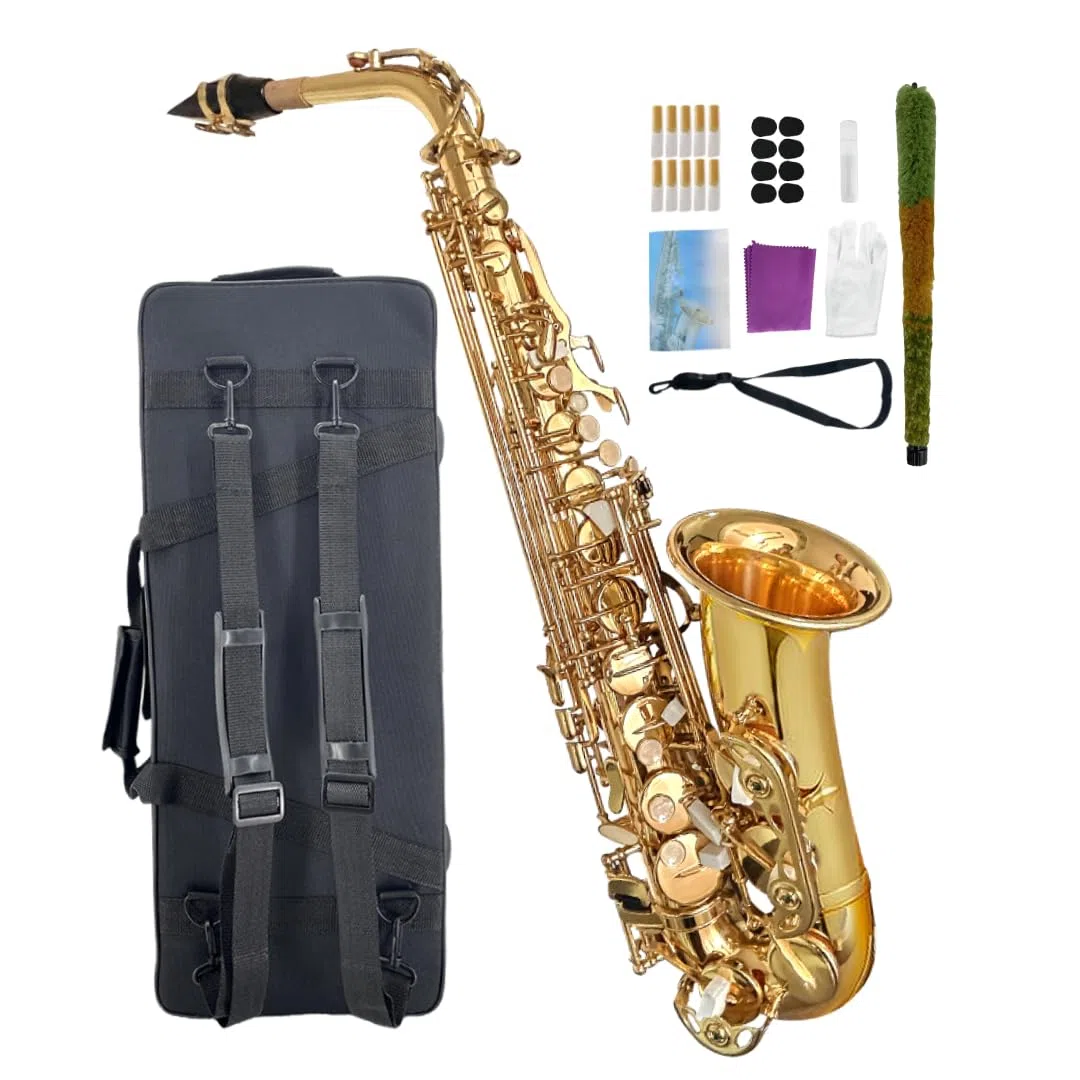 Saxophone alto débutant pour adultes et étudiants, saxophone Eb professionnel en laiton, étui, embouchure, anches, gants, chiffon de nettoyage et brosse (doré)