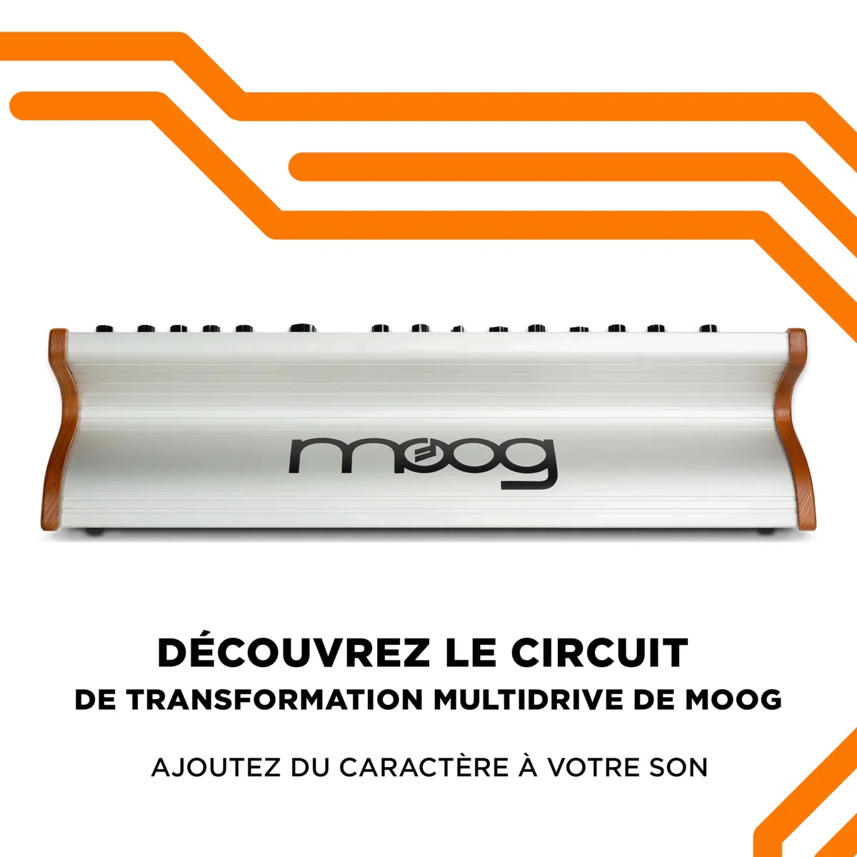 MOOG Subsequent 37 - Synthétiseur Analogique Paraphonique et Clavier MIDI 37 Touches Semi-Lestées, Amplificateur Casque, 256 Préréglages, Écran et Logiciel