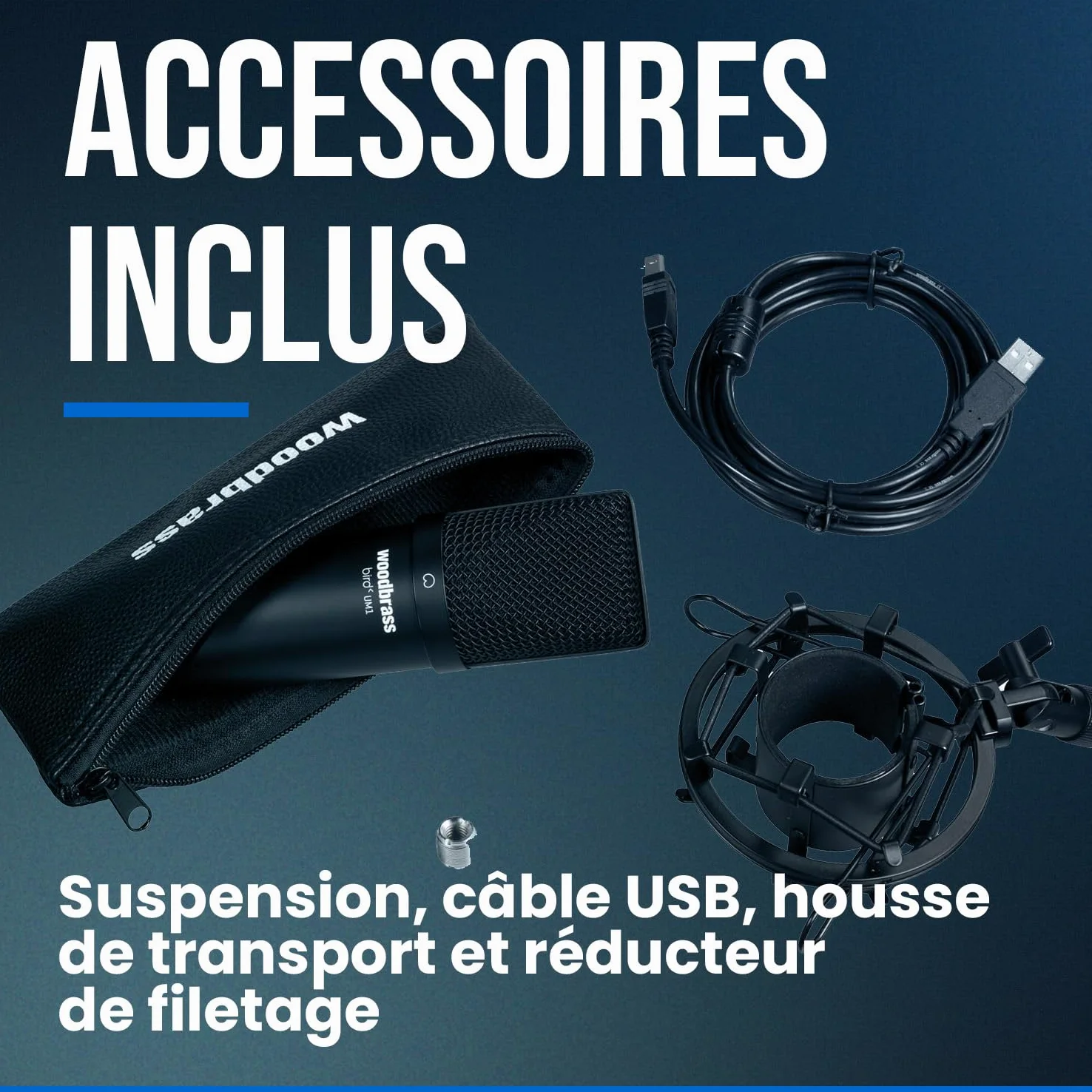 Bird Woodbrass UM1 Noir - Microphone USB Cardioïde à Condensateur PC et Mac pour Broadcast et Enregistrement Streaming, Podcasting, Conférence, Home Studio Mao, Voix Off