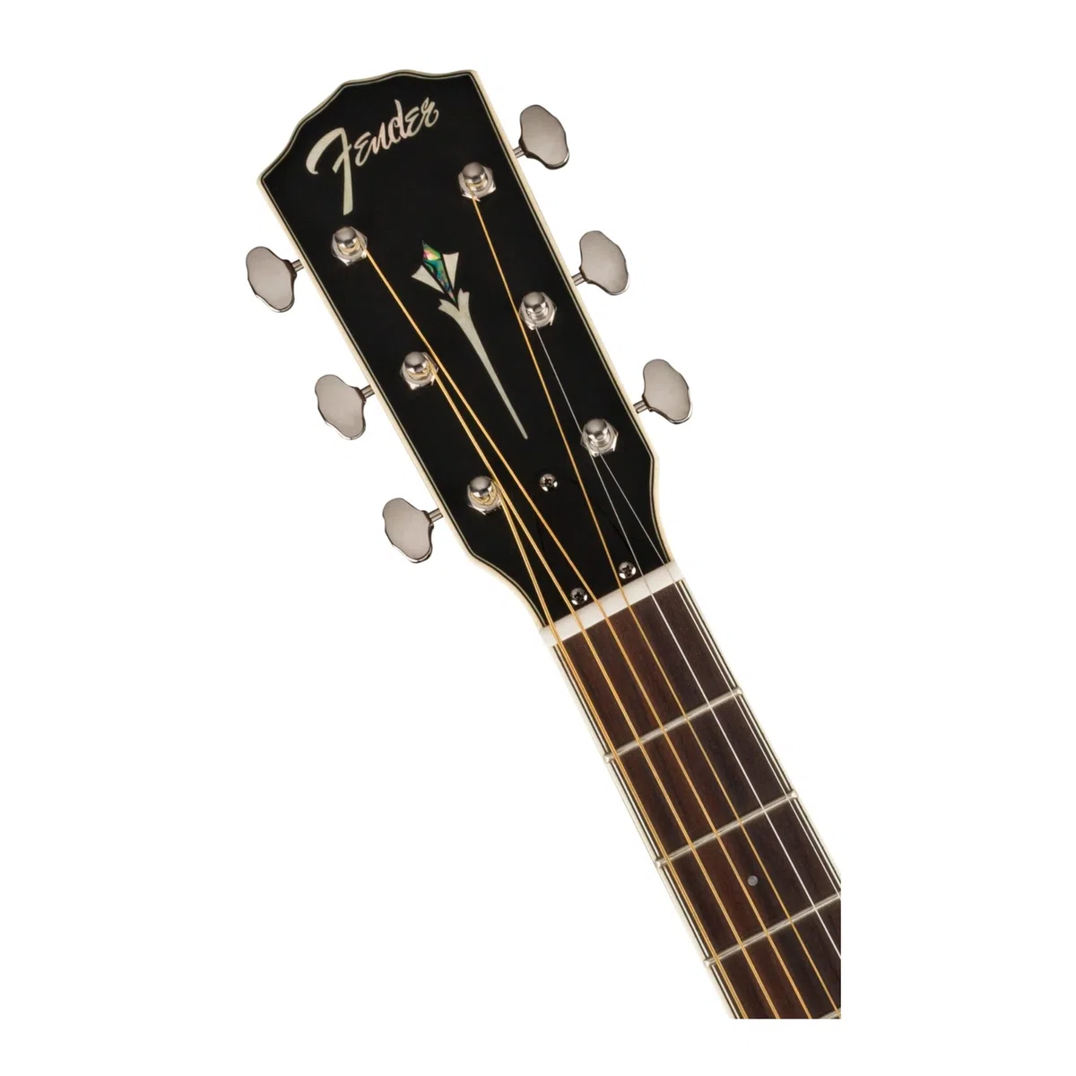 Fender PR 180E - Dobro
