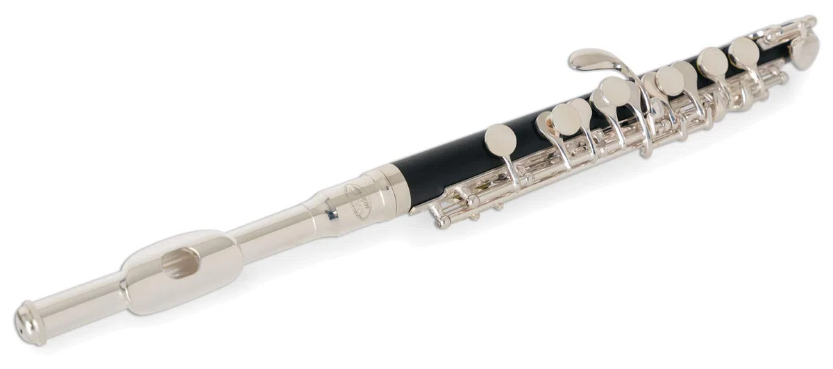 Classic Cantabile PF-300 Piccolo - En Bakélite - Mécaniques En Maillechort Argentées - Étui Inclus