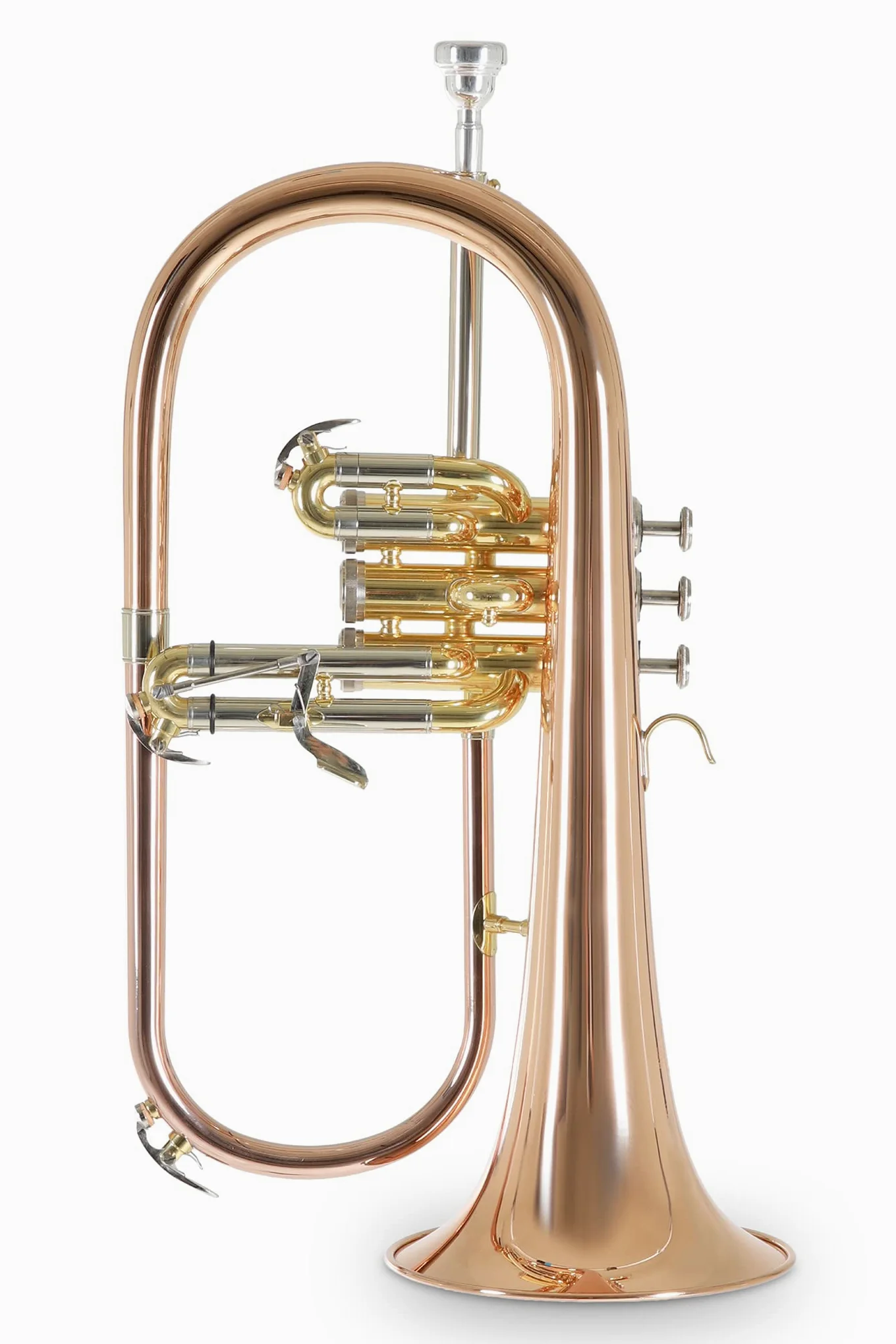 Roy Benson FH-302G Bugle en Sib Rose