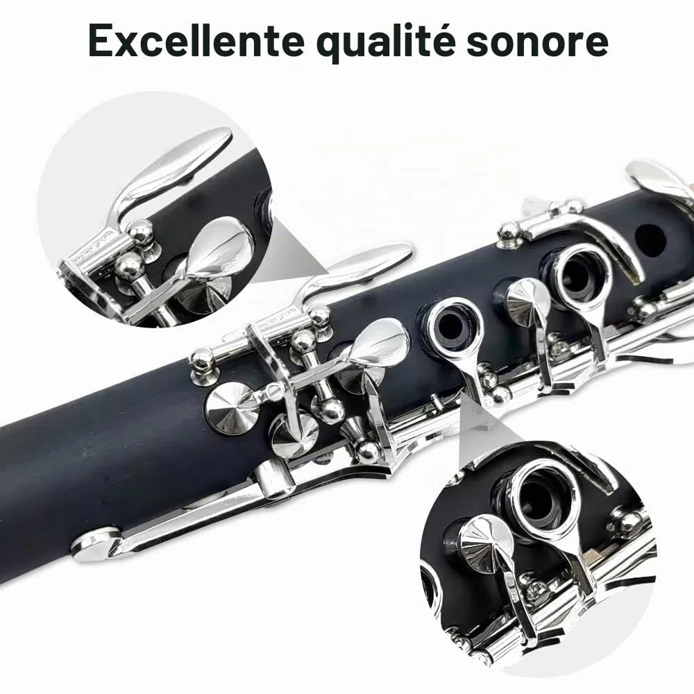 Yinfente Clarinette en Si Bémol pour Débutants et Étudiants, Noir, Ébonite, avec Étui de Clarinette, Kit de Nettoyage, Pie-Bouche, Graisse de Liège, 17 Touches, Standard
