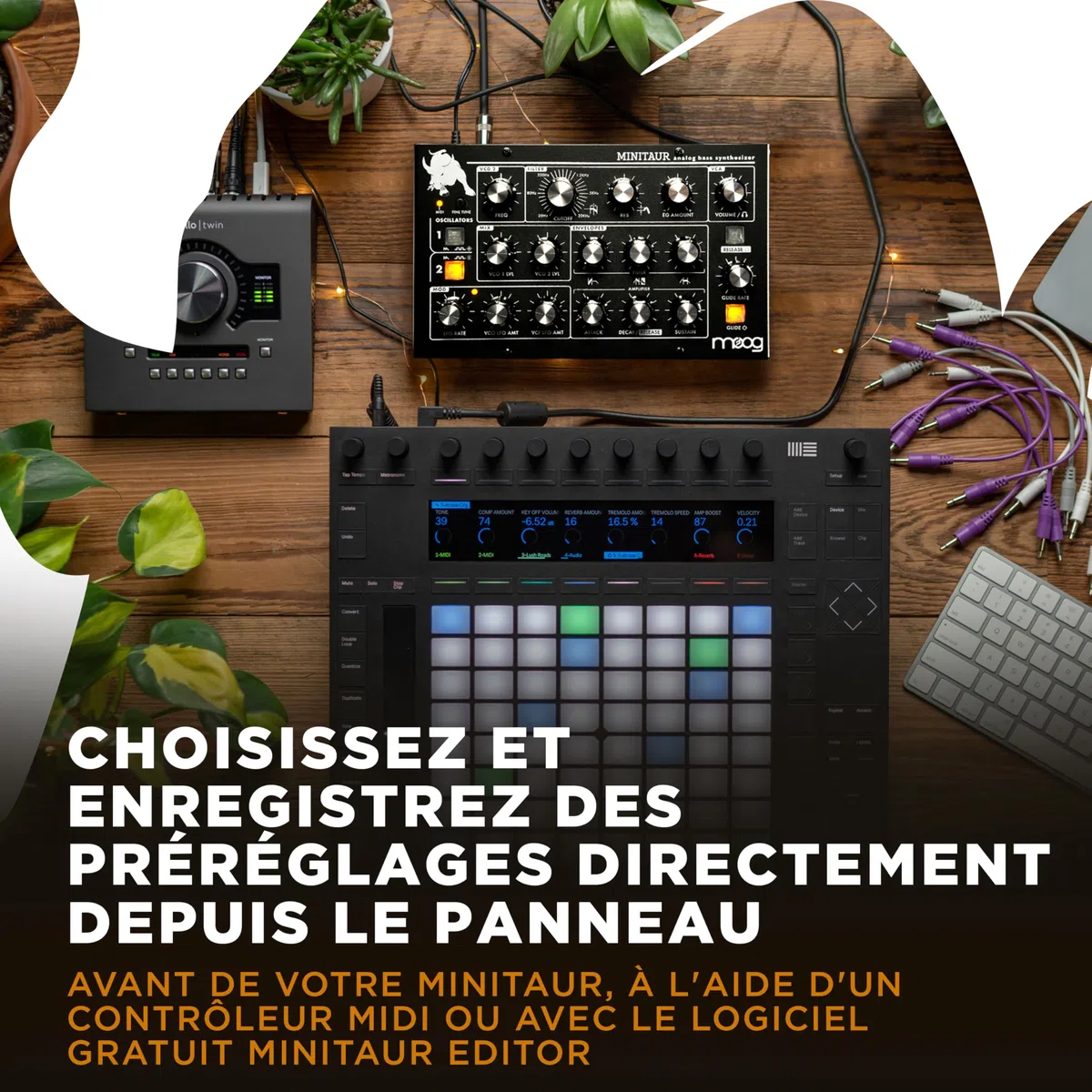 MOOG Minitaur Module Synthétiseur de Basses Analogique avec Amplificateur pour Casque, 128 Préréglages et Éditeur Logiciel