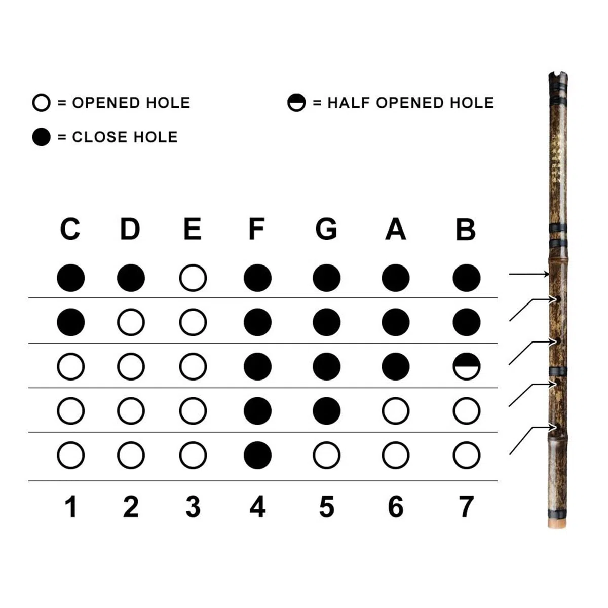 Flûte en bambou pour débutants Shakuhachi 54 Cm Flûte Verticale D Clé Shakuhachi 5 Trous Flûte De Bambou Instrument À Vent