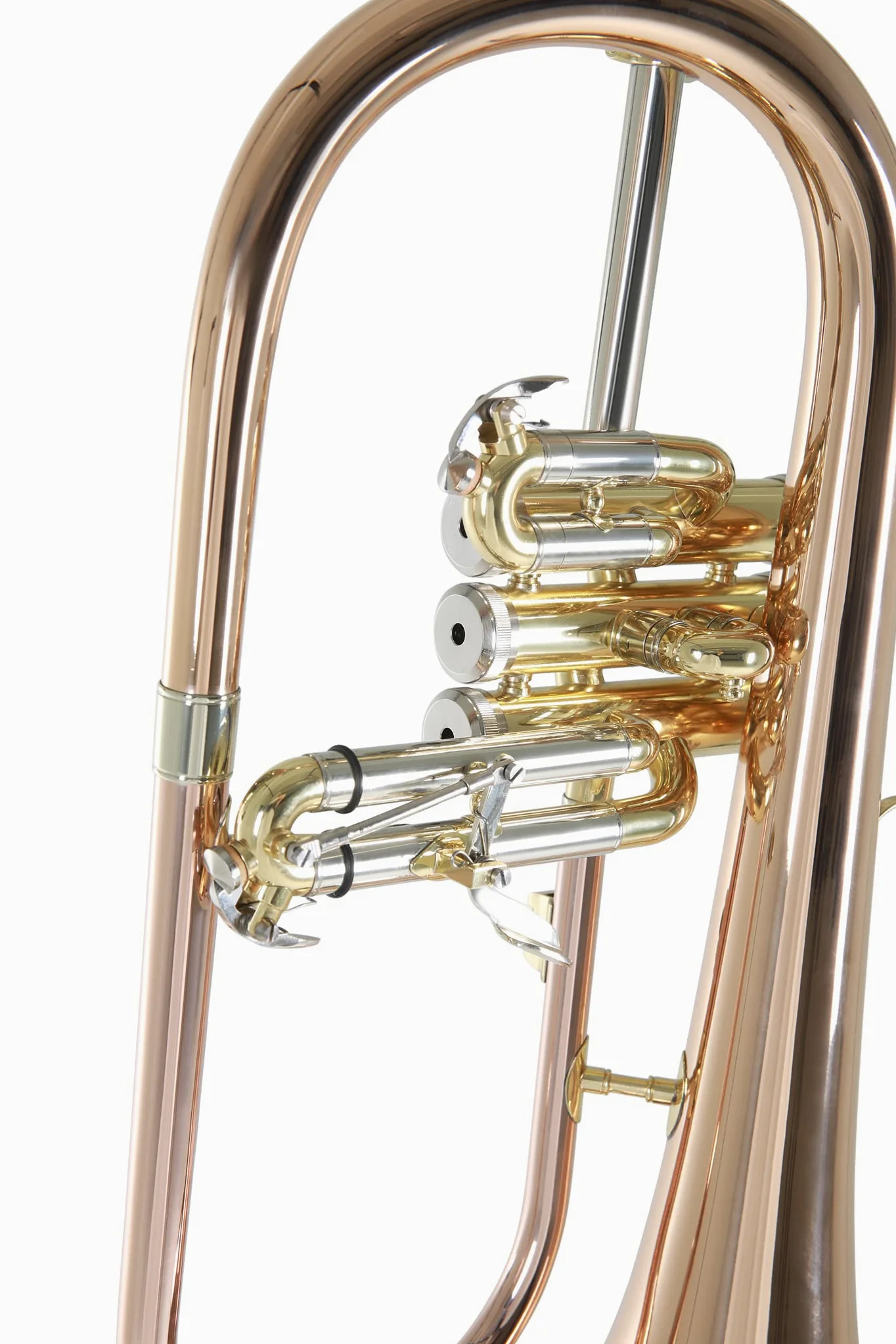 Roy Benson FH-302G Bugle en Sib Rose