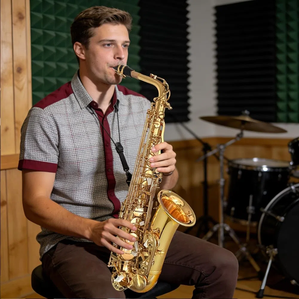 Saxophone alto débutant pour adultes et étudiants, saxophone Eb professionnel en laiton, étui, embouchure, anches, gants, chiffon de nettoyage et brosse (doré)