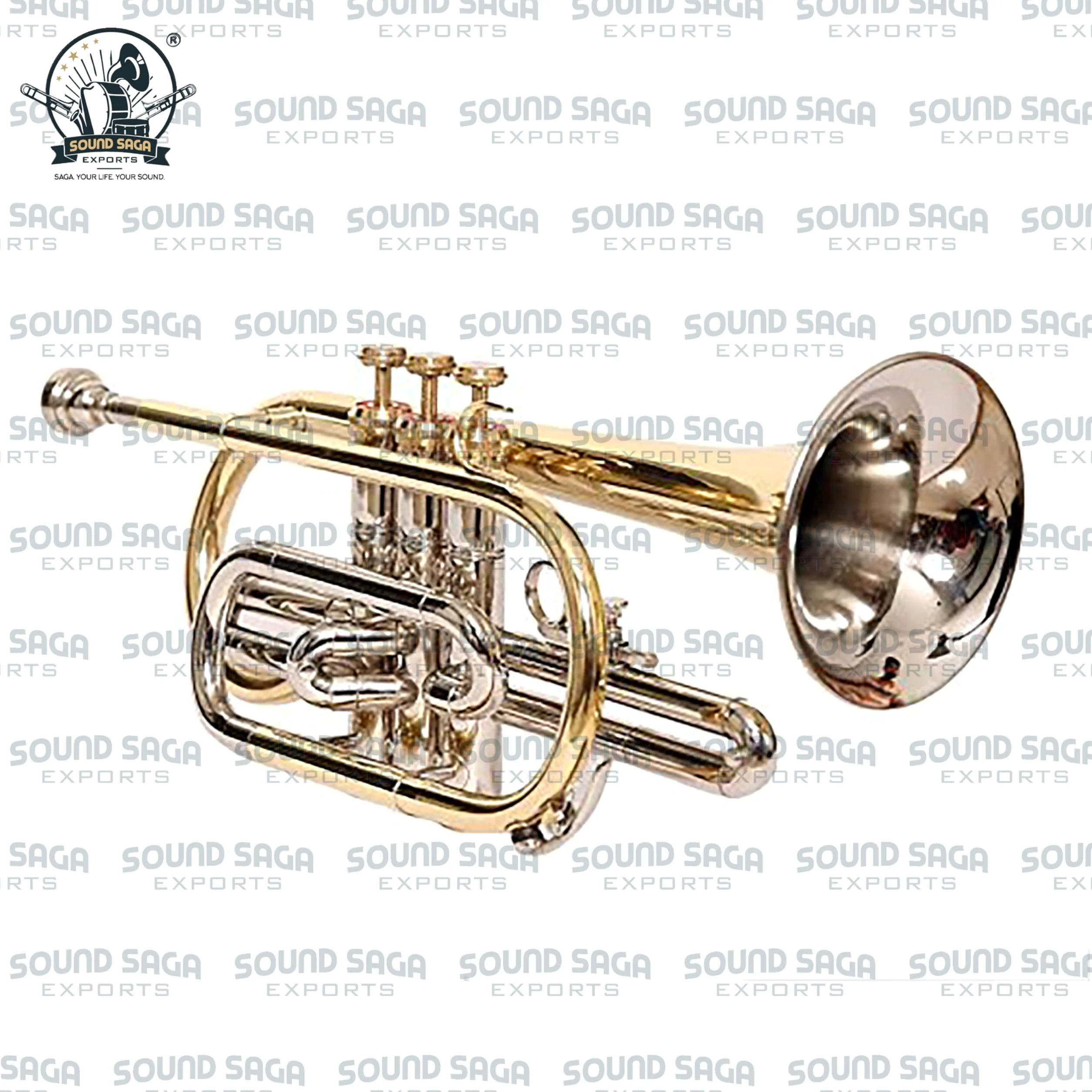 Cornet BB Pitch 3 pistons de qualité supérieure avec embouchure et étui de transport (Nickel)
