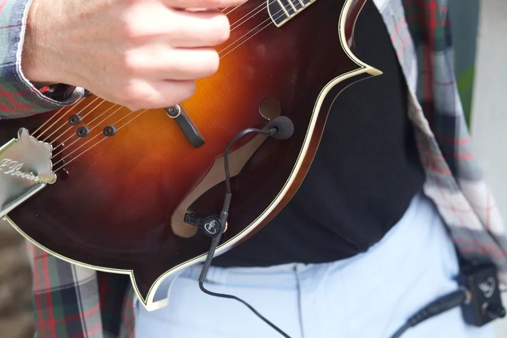 La Plume Mic pour F-style Mandoline avec Flexible Micro Cou D'oie par Myers Pickups